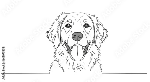 Happy Golden Retriever Dog Head Line Art Illustration