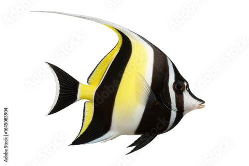 Foto Moorish idol tropical fish with striking black, white, and yellow stripes, isolated on transparent background