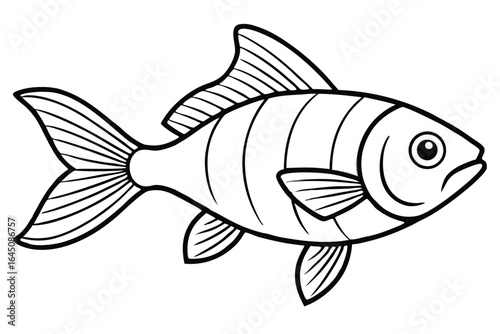 Detailed outline of a striped fish featuring prominent fins and tail on white