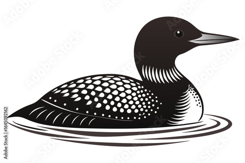 Elegant loon swims gracefully on water with striking black and white patterned plumage