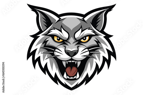 Angry bobcat displaying open mouth with sharp teeth isolated on a white background