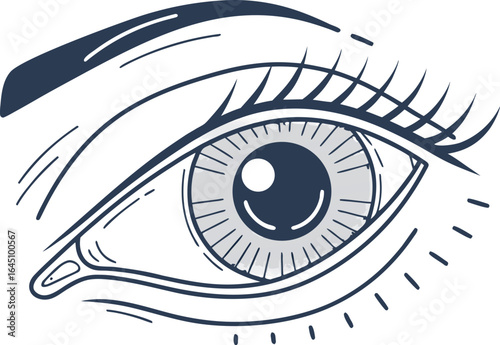 Premium Quality Vector Illustration of a Stylised Eye