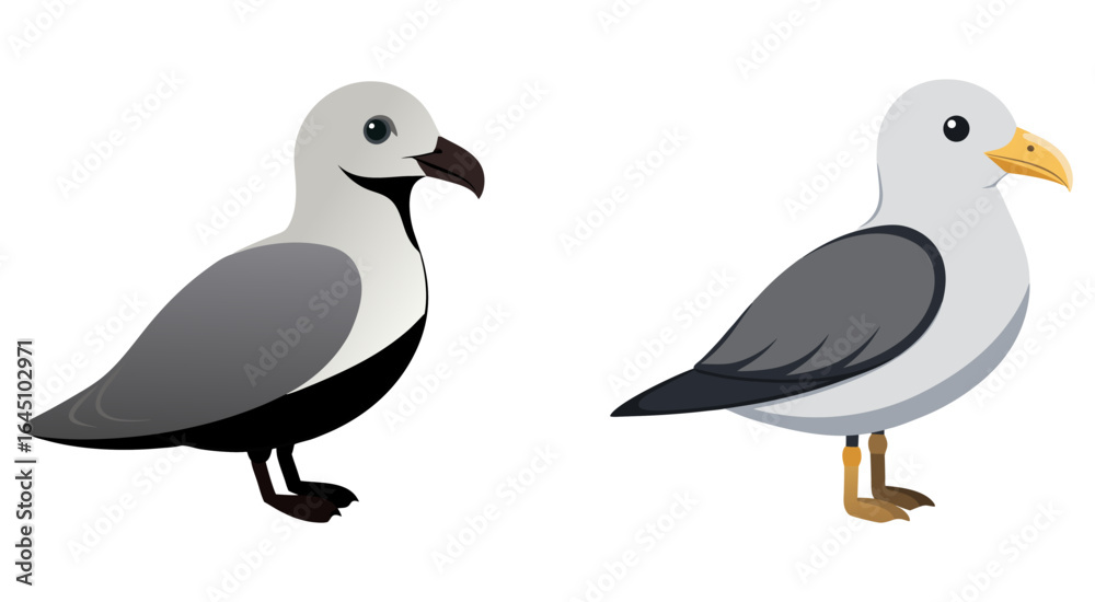 Fototapeta premium Set of fulmar bird vector illustration design
