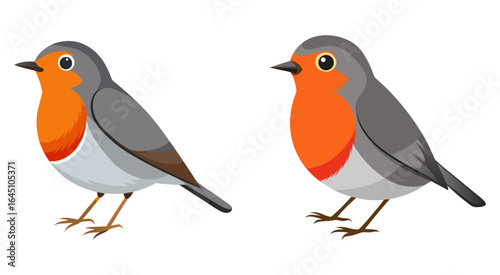 Set of oriole robin bird vector illustration design