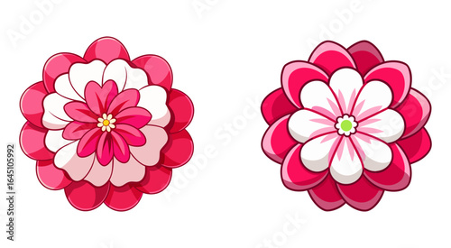 Set of sweet flower vector illustration design