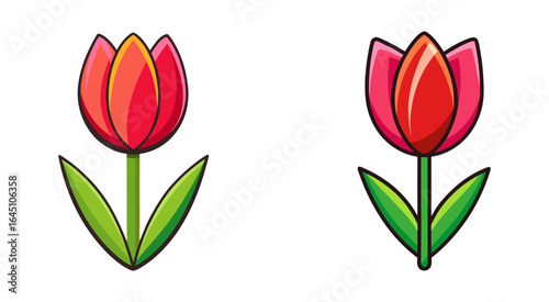 Set of tulip flower vector illustration design.