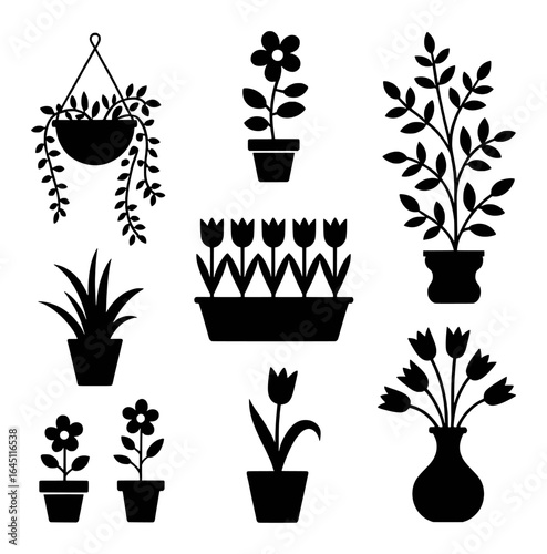 Potted plants floral arrangements foliage vases flower tulip