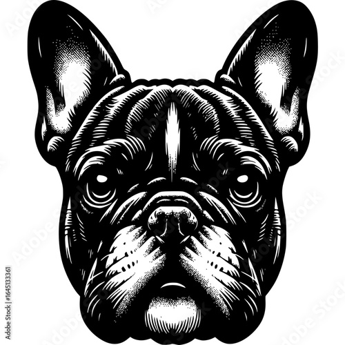 French Bulldog Portrait: A striking black and white illustration captures the essence of a charming French Bulldog, showcasing its expressive features and distinctive breed characteristics.