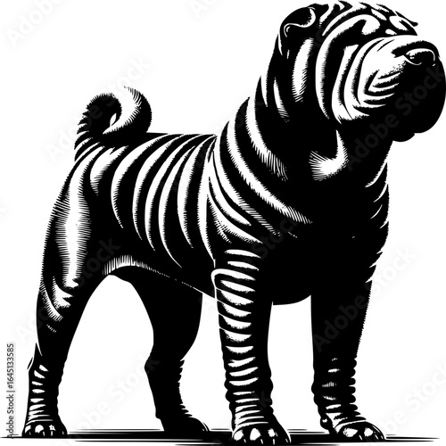 Shar-Pei Elegance: An artistic illustration of a Shar-Pei dog, showcasing its distinctive wrinkled skin and sturdy build.