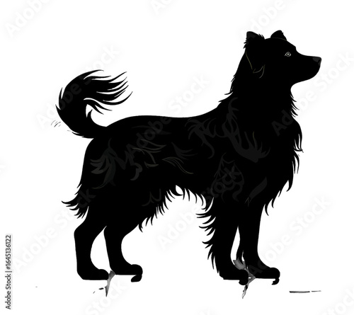 Black silhouette of a dog on white background.