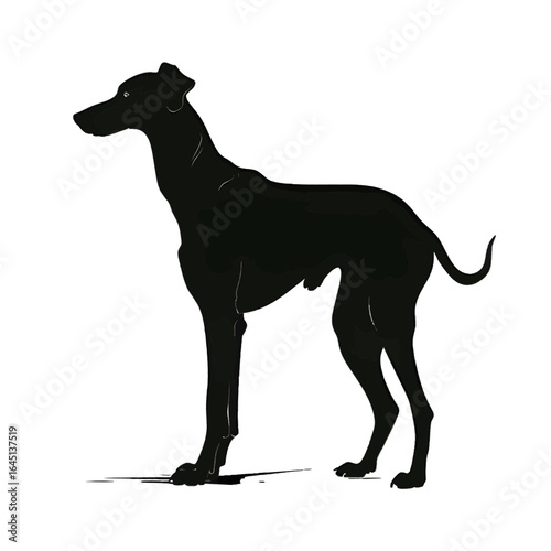 Black silhouette of a dog on white background.