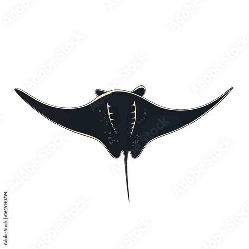 Black silhouette of stingray on white background.