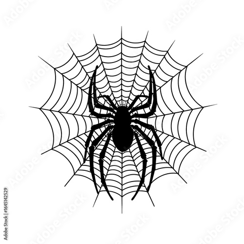 Black silhouette of a spider on a spider web on white background.