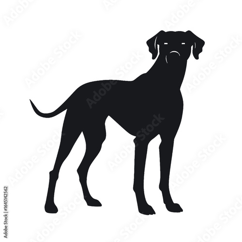 Black silhouette of a dog on white background.