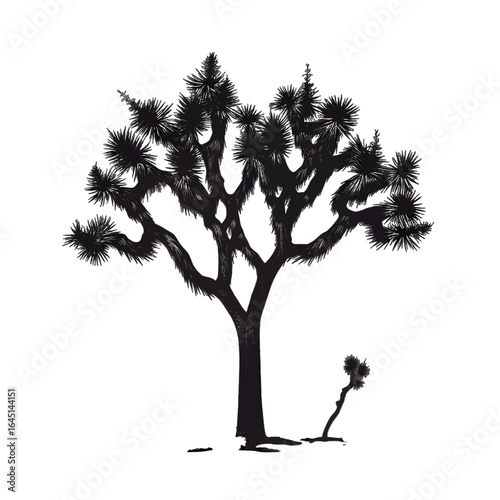 Black silhouette of a tree, palm on white background.