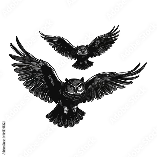 Black silhouette, tattoo of owls on white isolated background. Vector.