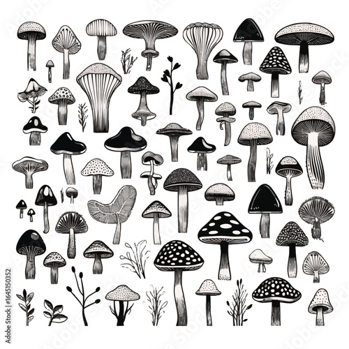 Black silhouette, tattoo of mushrooms on white isolated background. Vector.