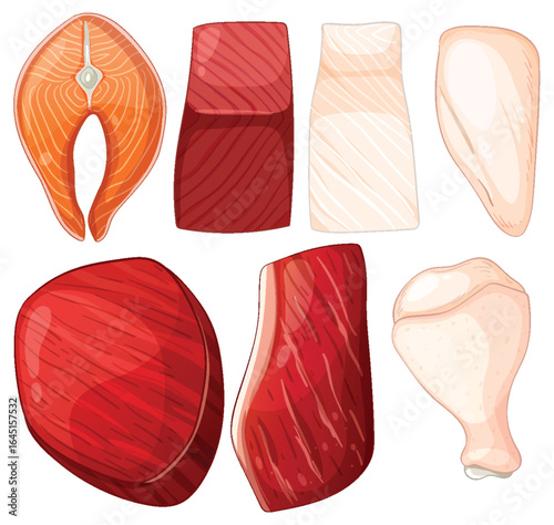 Assorted Raw Meat and Fish Cuts Vector Illustration