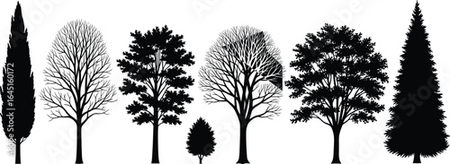 PrintTree silhouettes, botanical illustration, nature design, evergreen trees, deciduous trees, vector art, diverse foliage, forest elements, black graphic, stock image, Adobe Stock