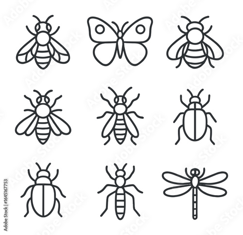 Insects Icon Set. Outline icon set of insects and pollinators: honeybee, butterfly, bumblebee, moth, hoverfly,
