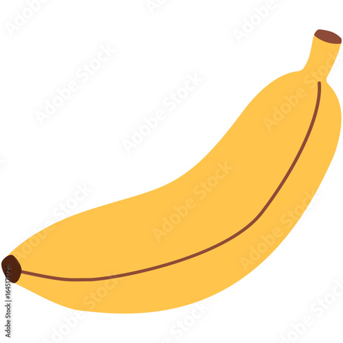 banana summer tropical fruits illustration