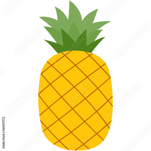 pineapple summer tropical fruits illustration