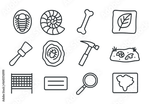 Fossil Collection Icons. Outline vector icons of fossil collecting: trilobite, ammonite, dinosaur bone, leaf