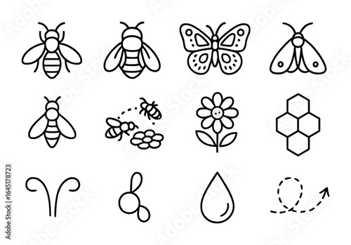 Mountain Pollinator Icons. Outline icon set of mountain pollinators: alpine bee, bumblebee, mountain butterfly