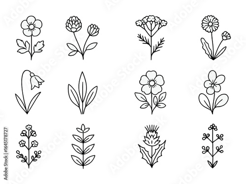 Alpine Meadow Plant Icons. Outline icon set of alpine meadow plants: buttercup, wild clover, yarrow, dandelion