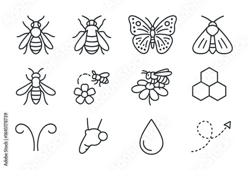 Mountain Pollinator Icons. Outline icon set of mountain pollinators: alpine bee, bumblebee, mountain butterfly