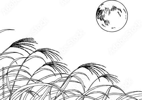 満月とすすきの背景イラスト