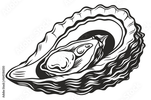 Black and white oyster in a shell isolated on white background