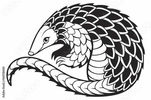 Black and white pangolin isolated on white background
