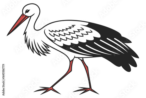 Stork illustration isolated on white background with red beak and legs
