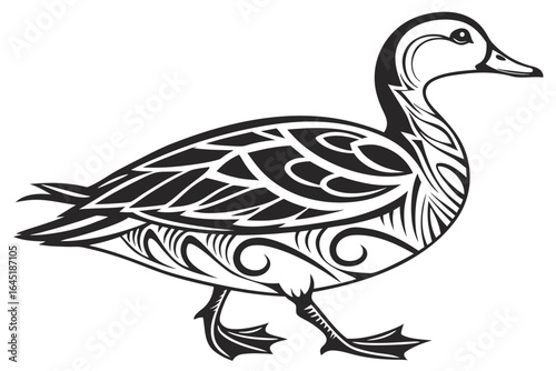 Duck illustration isolated on white background, a waterfowl bird with feathers
