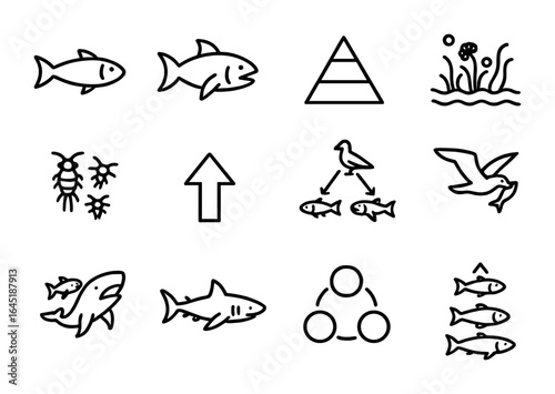 Ocean Food Chain Icons. Outline icon set of ocean food chains: small fish, predator icon, food pyramid, algae