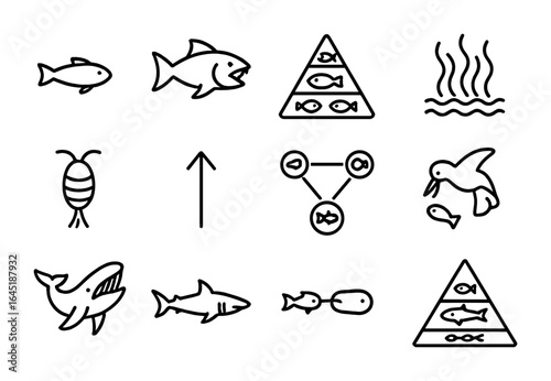 Ocean Food Chain Icons. Outline icon set of ocean food chains: small fish, predator icon, food pyramid, algae