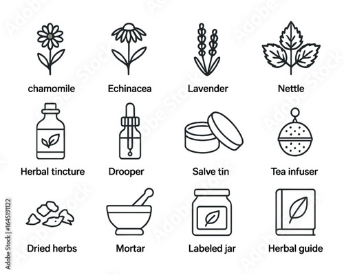 Herbal Icons Grid. Outline icon set of medicinal herbs: chamomile, echinacea, lavender, nettle leaf, herbal
