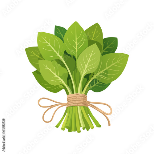 A neat bundle of fresh, green spinach leaves tied together.