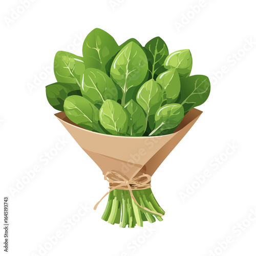 A tightly wrapped bouquet of fresh, dark green spinach leaves, presented as a bunch.