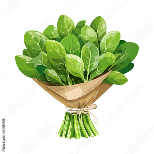 A full, beautiful bouquet of fresh spinach leaves tied with a ribbon.