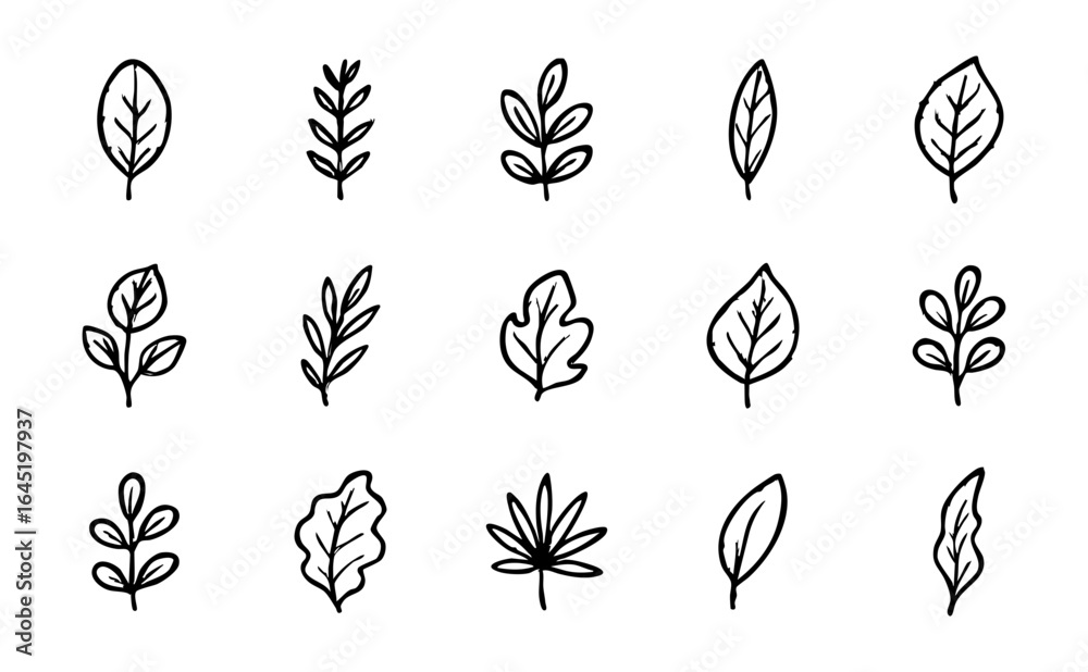 Fototapeta premium Collection of hand drawn leaves vector illustration, botanical doodle leaf sketch, nature foliage drawing set