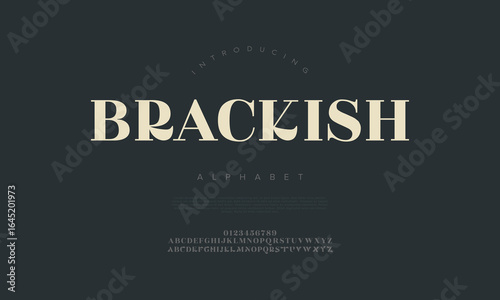 Brackish Alphabet Elegant Serif Typeface for Modern Branding