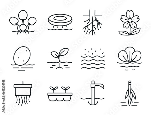 Aquatic Plant Icons. Outline vector icons of aquatic plant cultivation: water hyacinth, floating planter, root