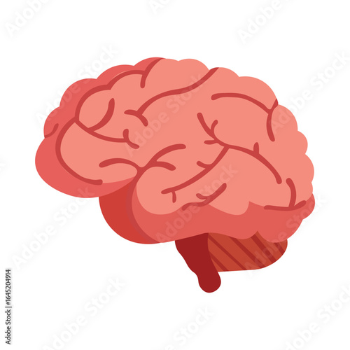 Stylized Illustration of a Human Brain with Detailed Lobes and Cerebellum - A Visual Representation of Neuroscience and Cognitive Function