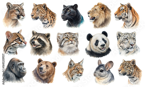 Watercolor Wildlife Portraits Set with Lion, Tiger and Panther