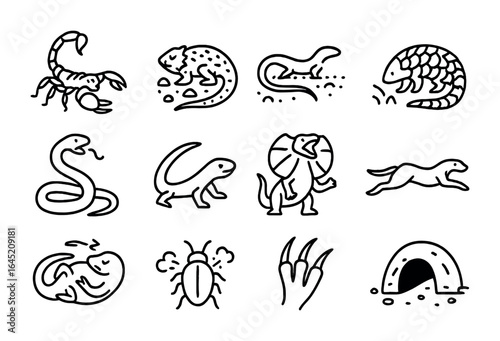 Desert Defense Icons. Outline icon set of desert creatures’ defense mechanisms: venomous sting, camouflage,