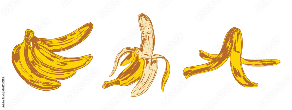 Fototapeta premium Banana Set – Bunch, Peeled Fruit, and Peel Illustration