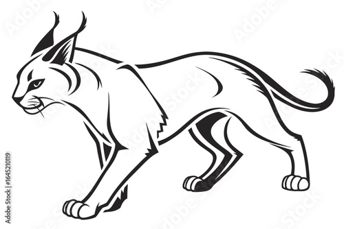 Illustration of a caracal isolated on white background, a wild cat from africa