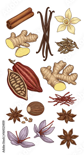 Aromatic spices and seasonings collection including vanilla beans ginger cinnamon cocoa saffron star anise and nutmeg